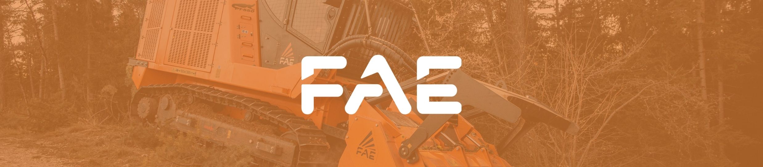 FAE